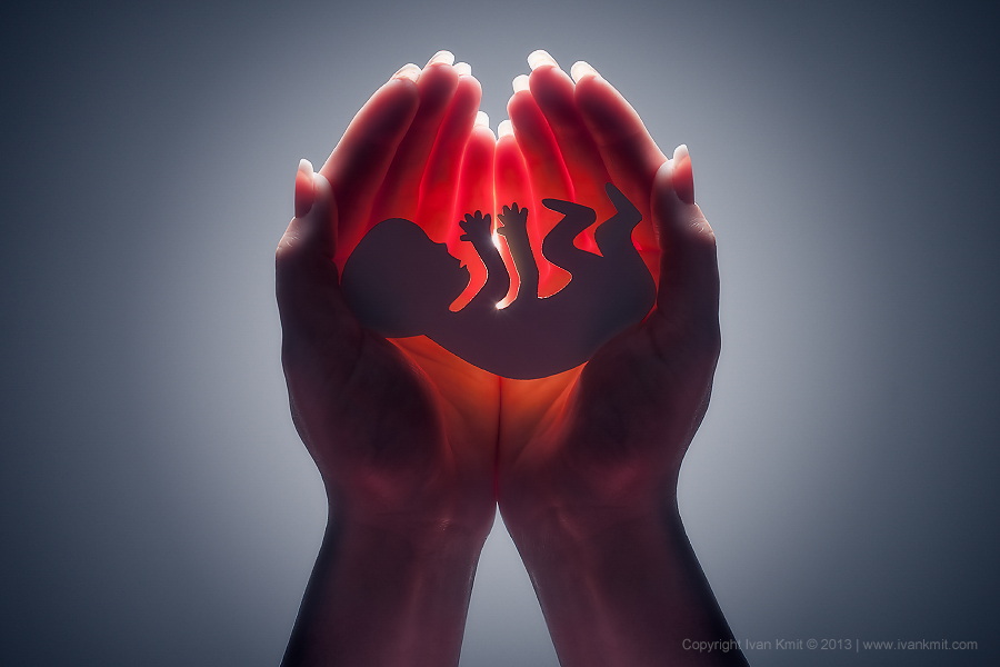 embryo4
